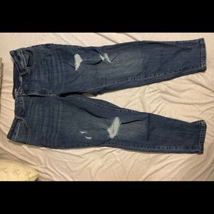Maurices distressed Jeans 20W short